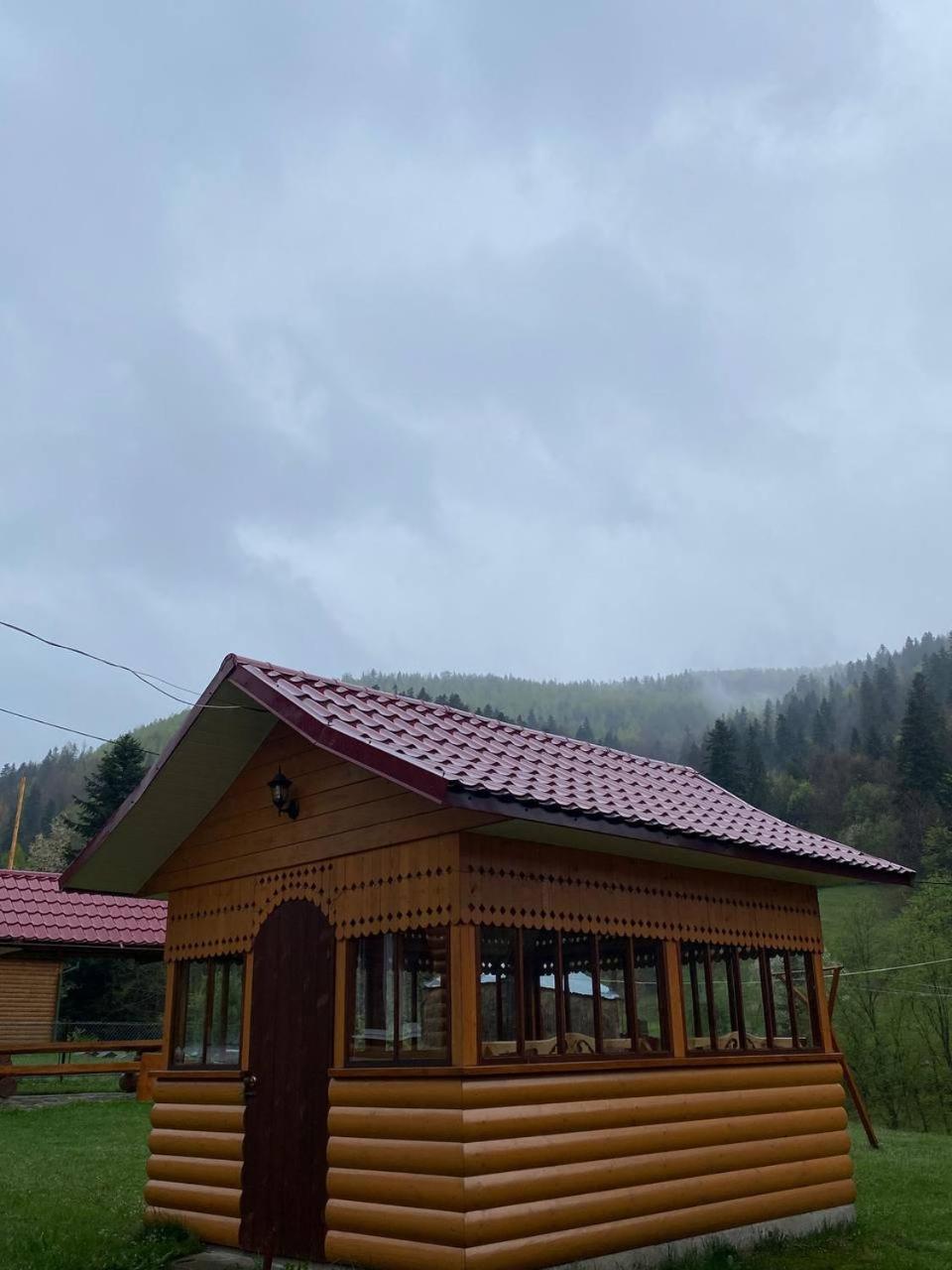 Apartament Карпатська Полонина Jaremcze Zewnętrze zdjęcie
